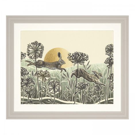 Light of Day Hare Framed Print