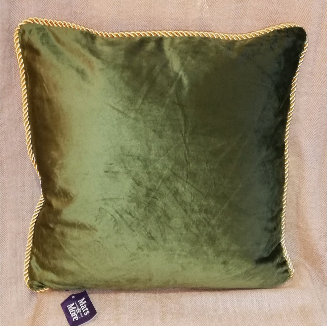 Apple Green Velvet Cushion