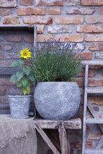 Load image into Gallery viewer, Klara Plant Pot with Plate
