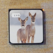 Load image into Gallery viewer, Roe Coasters Set of 6
